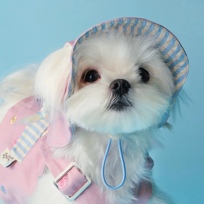 可爱猫咪夏季渔夫帽露耳防晒遮阳