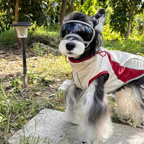 PEZZLE狗狗秋季防水赛车冲锋衣