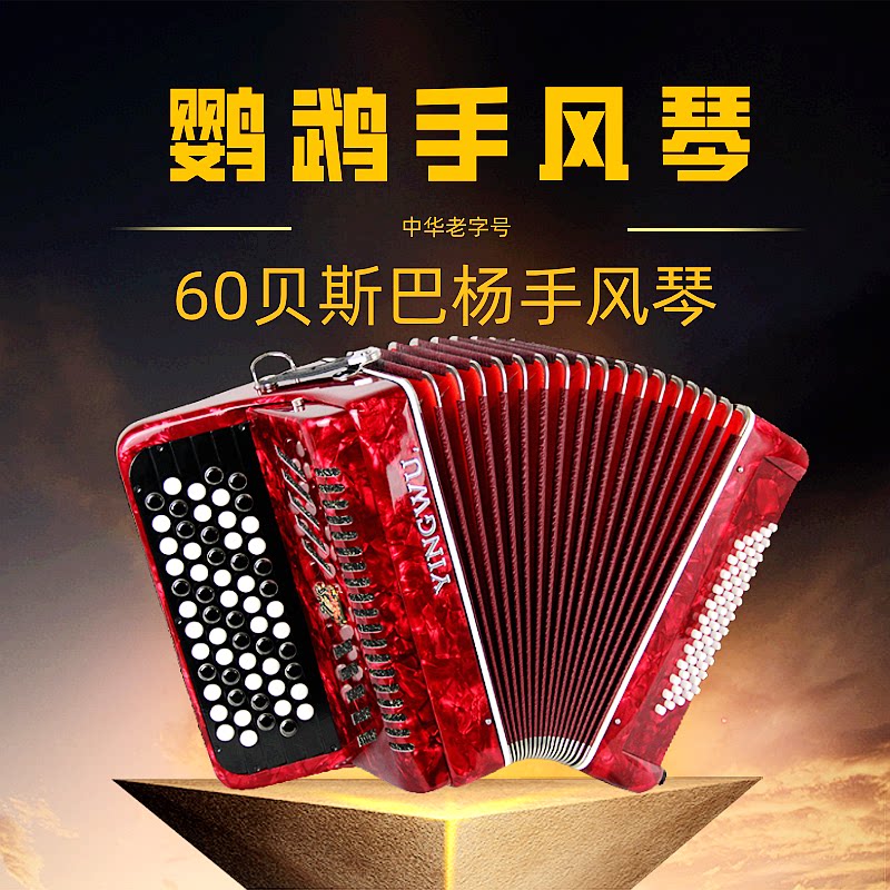 鹦鹉牌YW-672手风琴两排簧62键60贝斯BS初学考级专业演奏顺丰包邮