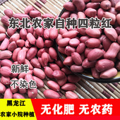 东北红皮花生黑龙江四粒红小粒红衣花生米仁散装 去壳精选新生花生