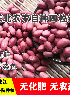 东北红皮花生黑龙江四粒红小粒红衣花生米仁散装去壳精选新生花生