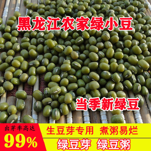 农家自种生豆芽专用东北绿豆煮粥