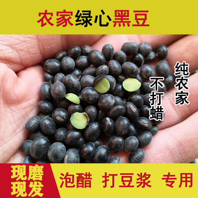 绿心黑豆农家醋泡乌发新货小黑豆