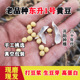 东北笨黄豆农家自种中小粒蛋白豆打豆浆生豆芽专用绿杂粮色新货