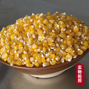 贵州特产阴苞谷食用玉米粒袋装包谷糯玉米花原味散装