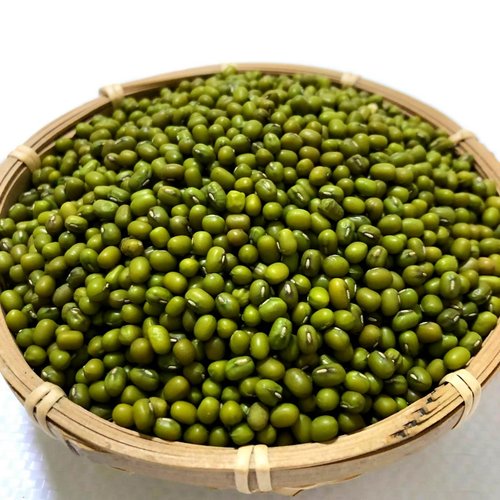 2025新黑龙江农家自产笨绿豆生芽小绿豆大绿豆煮粥小绿豆 绿豆芽