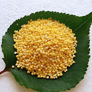 黑龙江农家自产粗粮大黄米 黄糜子 粘糯黄米 黍米 粘糯小米