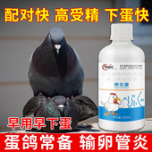 卵炎康鸽子不下蛋增蛋宝鸽子下蛋药沙皮蛋软壳蛋改善蛋质催蛋专用
