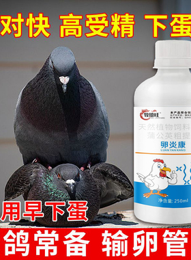 卵炎康鸽子不下蛋增蛋宝鸽子下蛋药沙皮蛋软壳蛋改善蛋质催蛋专用