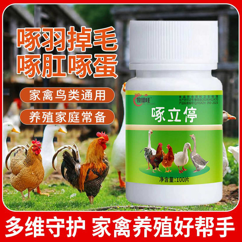 啄立停止啄灵鸡鸭鹅防啄毛止啄止咬灵鸡鸭防啄蛋小鹅啄毛鸡啄羽毛