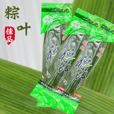 端午节粽子叶新鲜粽子叶保鲜粽叶棕箬竹叶真空保鲜粽叶