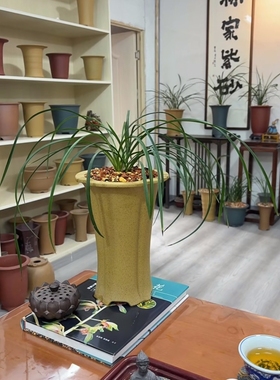 紫砂兰花盆兰展家居会客厅茶室装饰高端兰花盆莲瓣兰春兰展览束腰