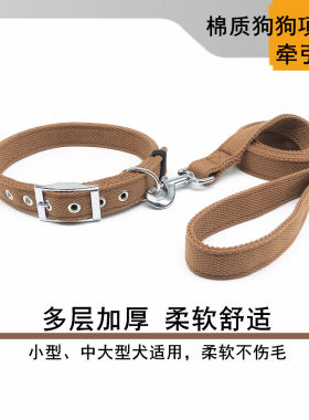 狗狗项圈金毛小中大型犬狗脖圈