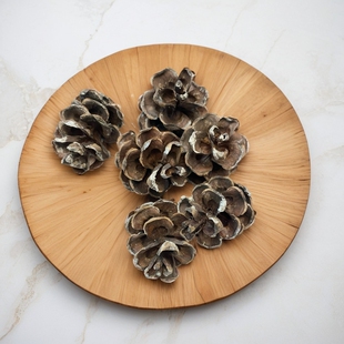 矢车菊干花花束家居摆件DIY松球干花装饰欧式摆件超特大幼儿园