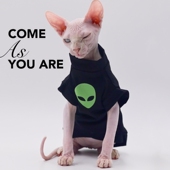 斯芬克斯猫衣服潮牌纯棉春夏款 柯尼斯 东短德文