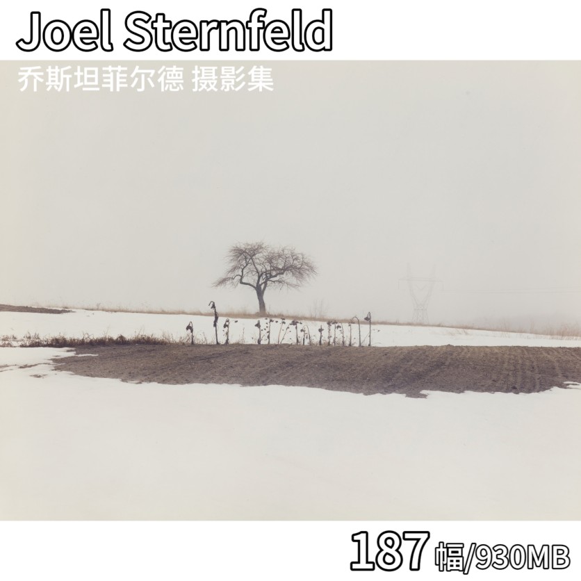 Joel Sternfeld 乔斯坦菲尔德 美国彩色摄影大师作品集图片素材