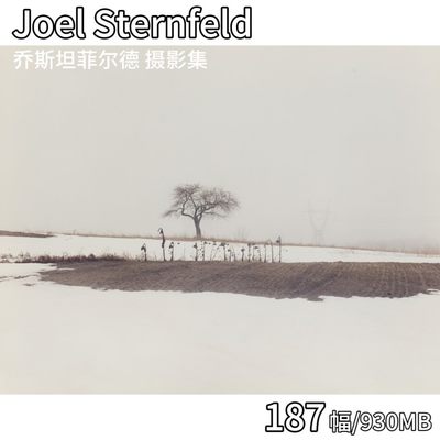 Joel Sternfeld 乔斯坦菲尔德 美国彩色摄影大师作品集图片素材