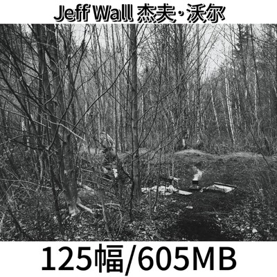 Jeff Wall 杰夫·沃尔 现实主义纪实摄影师作品集电子版图片素材