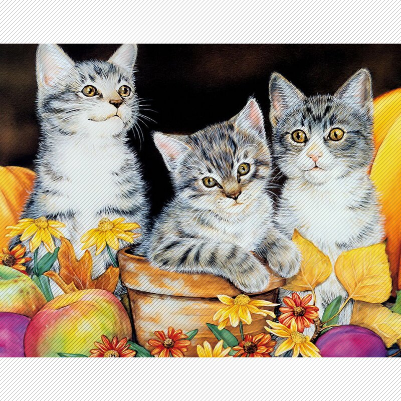 m257【美国】简·马丹 可爱猫咪小动物宠物插图 绘画网传图库