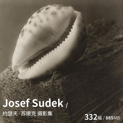 Josef Sudek约瑟夫·苏德克 黑白静物摄影大师作品集图片素材资料