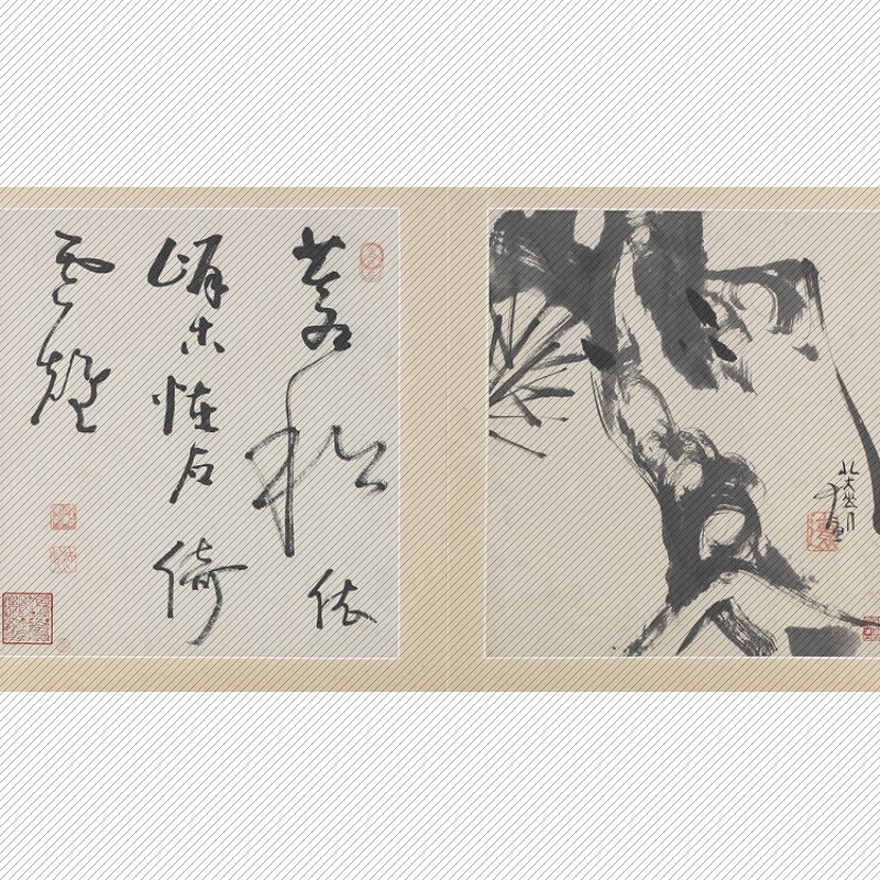 yc874清·八大山人朱耷花鸟鱼虫山水册(附赠书法图册)网传图库