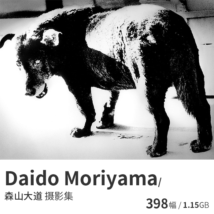 daido moriyama 森山大道 日本黑白纪实摄影大师参考电子图片资料