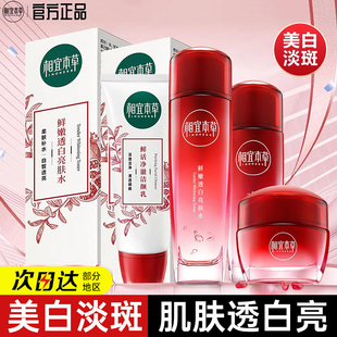 相宜本草红石榴鲜活亮白套装美白淡斑滋润洁面水乳提亮肤色抗氧化