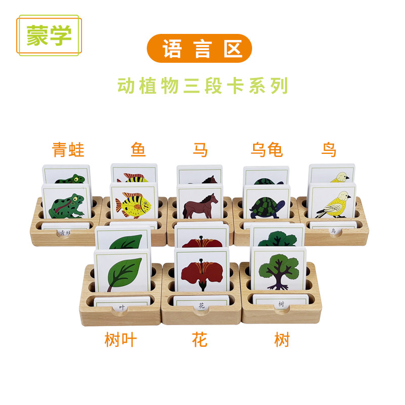 蒙氏语言科学教具三段卡动植物嵌板配套三部分卡片早教益智卡pvc