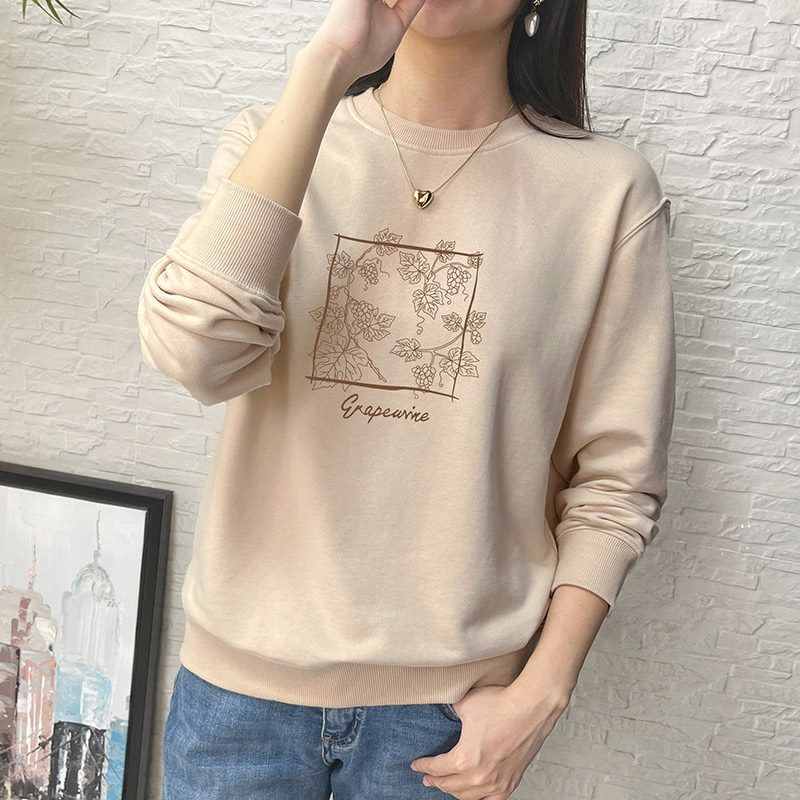 春秋无帽圆领卫衣女2025秋冬新款加绒加厚韩版宽松套头宽松上衣潮