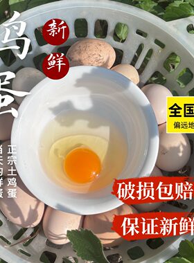 正宗农家散养土鸡蛋食杂粮虫草