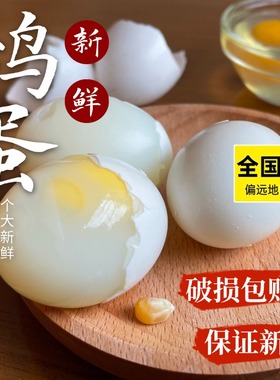 鸽子蛋新鲜30枚660克以上大白鸽蛋农家散养鸽蛋宝宝辅食包邮
