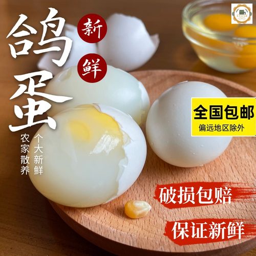 鸽子蛋新鲜30枚615克以上白鸽蛋