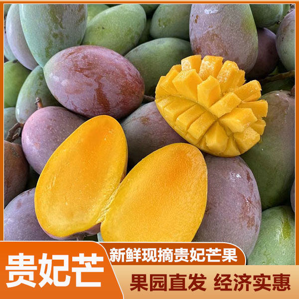 正宗广西南宁树上熟贵妃芒果新鲜小非辣椒芒热带水果当季整箱装