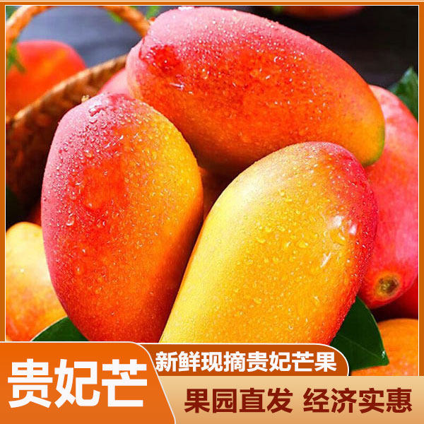 广西贵妃芒芒果新鲜当季热带水果现摘甜心芒广西南宁整箱包邮