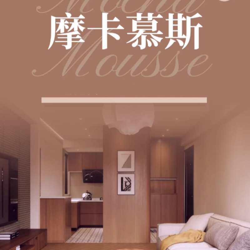 摩卡慕斯色系列咖色棕色系墙面漆