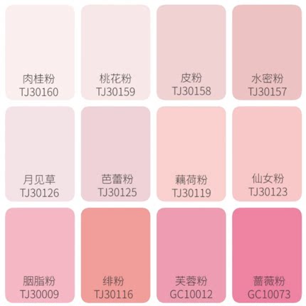 室内粉色浅粉色墙面漆平面哑光净味乳胶漆水性涂料背景色暖色面漆