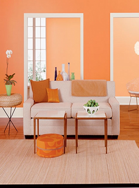 内墙桔色橘色香橙色内墙环保无味乳胶漆橙黄色浅黄淡黄色环保涂料