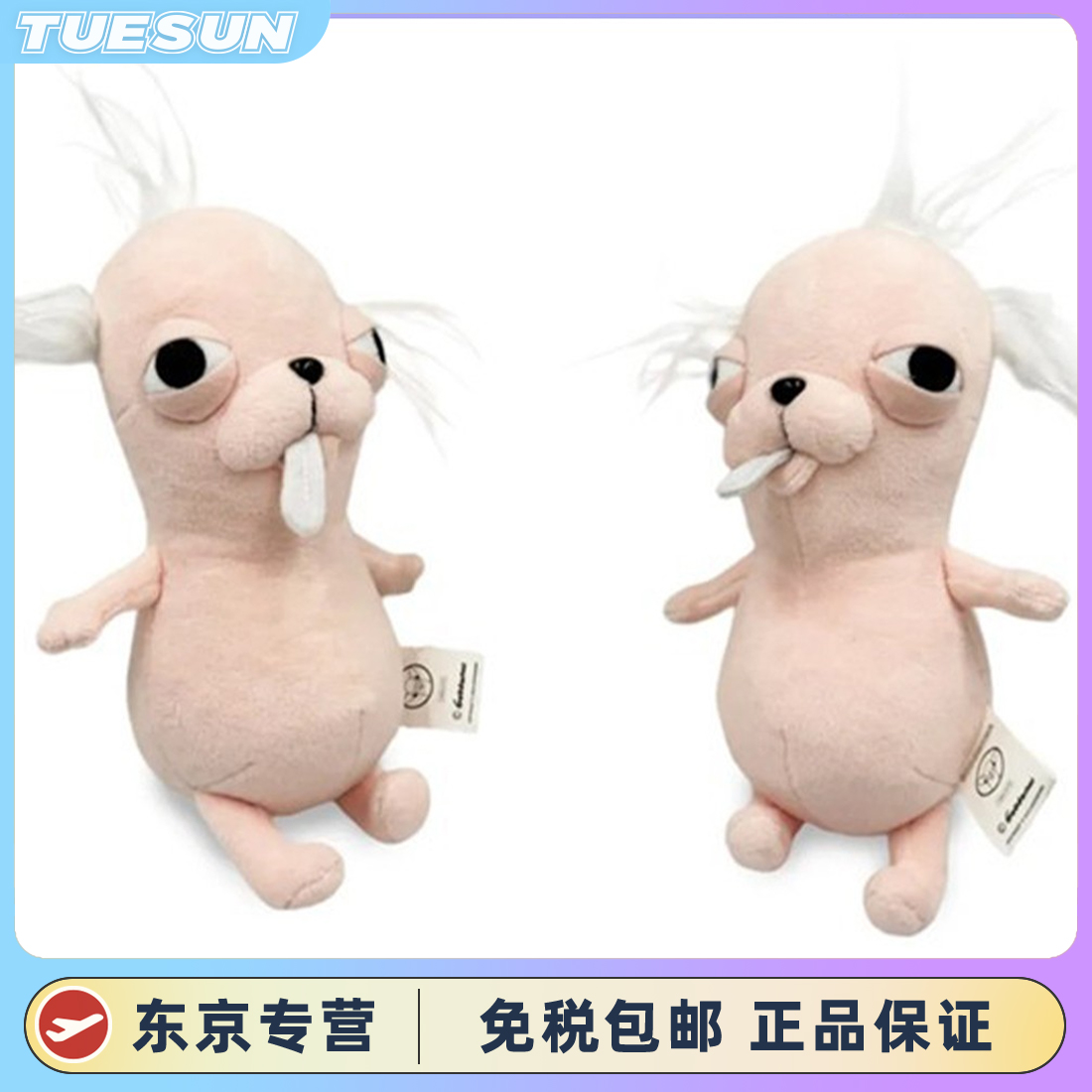 日本正版ChiHUA冠毛犬阿