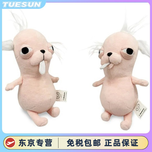 日本正版ChiHUA冠毛犬阿