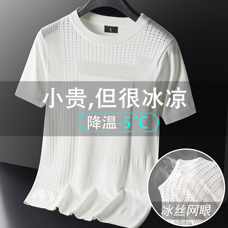 高品质夏款男短袖T恤针织衫网眼透气T恤衫大码M-4XL T013 P40图片