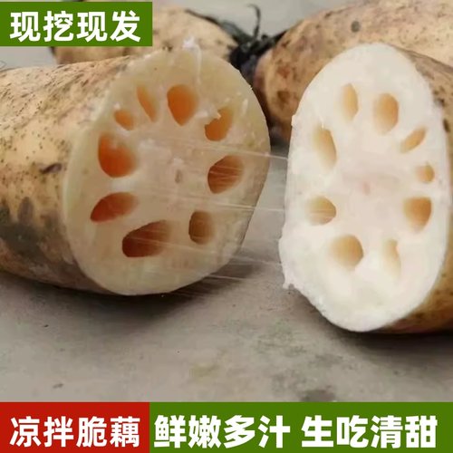 正宗洪泽湖莲藕新鲜现挖煲汤藕糯米藕蔬菜炖汤九孔藕农家特产