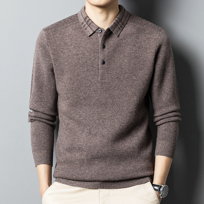 男士100%纯羊毛衫polo毛衣加厚款