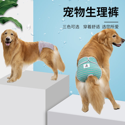 大型犬生理裤价格 大型犬生理裤图片 星期三