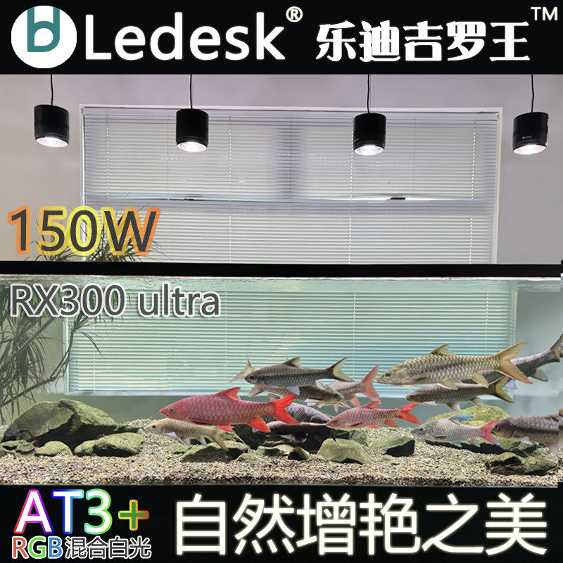 26款乐迪吉罗王150w吉罗鱼灯筒灯图片