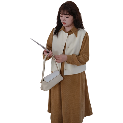 蓝若水气质翻领灯芯绒连衣裙