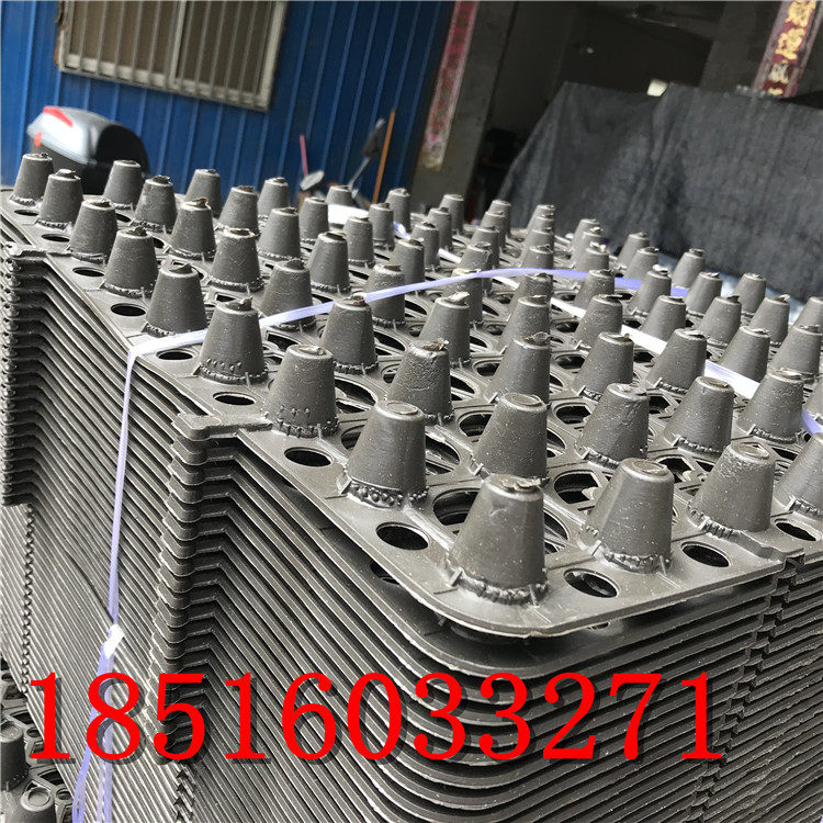 屋顶花园楼顶花园绿化种植排水垫网隔热滤水耐压阳台种菜蓄排水板在类目 鲜花速递/花卉仿真/绿植园艺, 园艺用品, 其它园艺用品中 - 来自Buy2taobao.com提供专业的淘宝代购服务