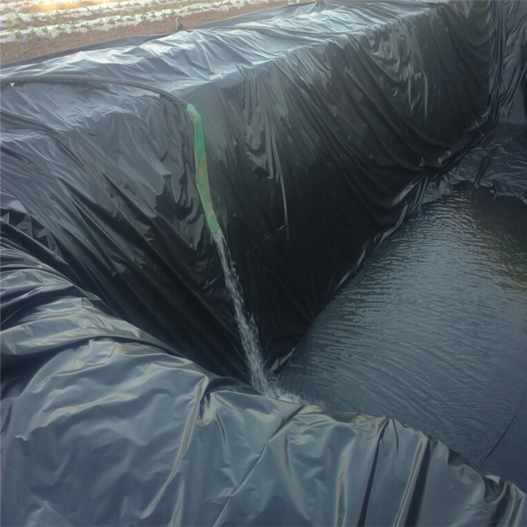 防渗塑料膜hdpe鱼塘防渗防水鱼池养殖膜虾池藕池防渗膜污水处理厂