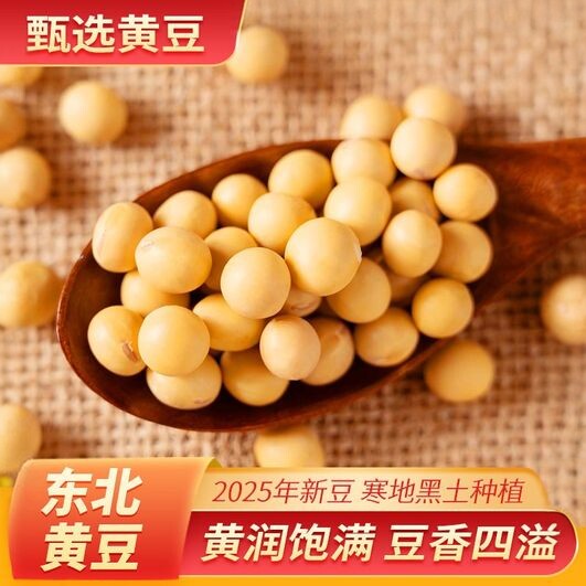 非转基因黄豆新货50g1斤东北农家自种豆子打豆浆专用真空锁鲜批发