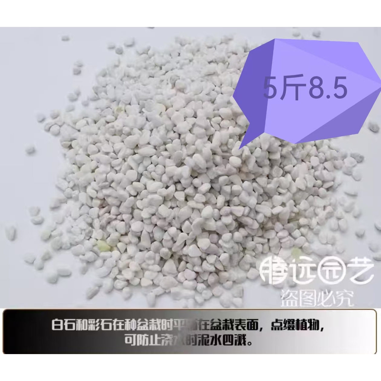白石子庭院景观铺路鹅卵石多肉 盆栽铺面装饰白色大小石头,鲜花速递/花卉仿真/绿植园艺,其它园艺用品,淘宝优惠券,粉丝福利购,淘宝优惠卷