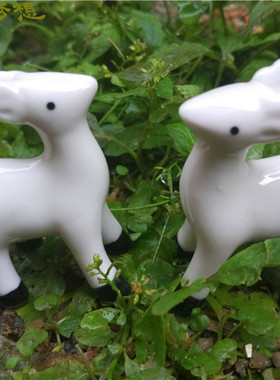 田园风多肉植物盆栽茶盘工艺摆件